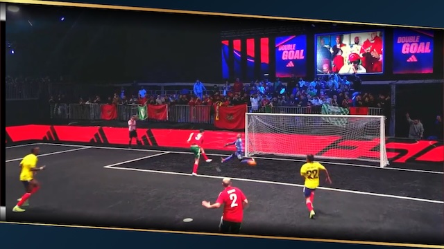 video image